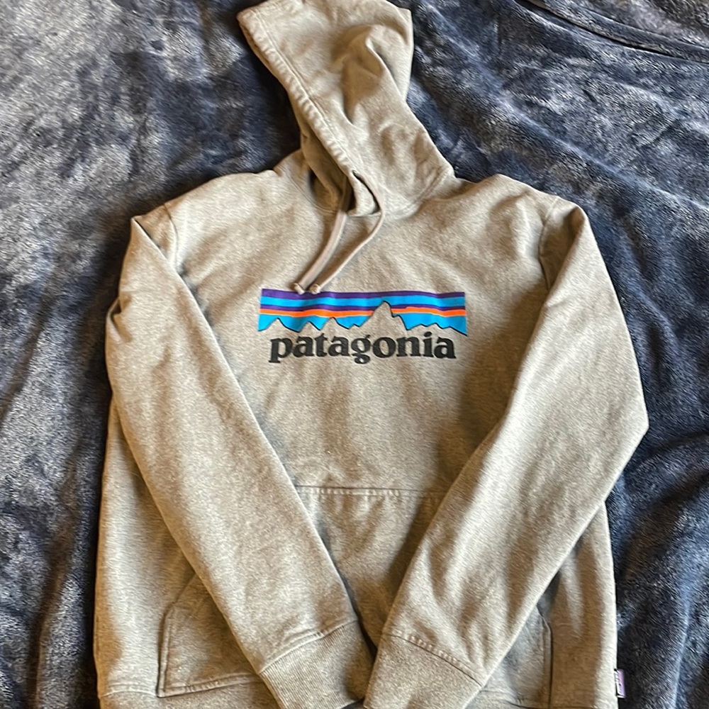Patagonia hoodie